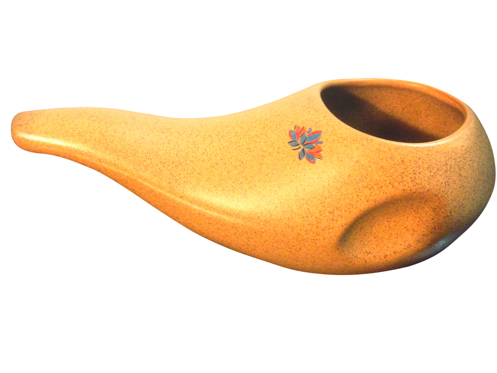 An Ancient Ayurvedic Solution to Current Sinus Problems – Neti Pot for Nasal Irrigation